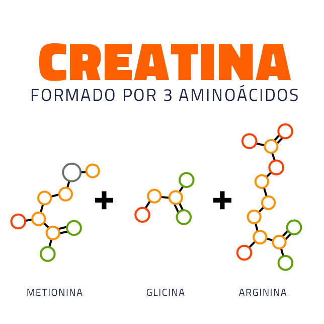 Aminoacidos_que_componen_la_Creatina-1