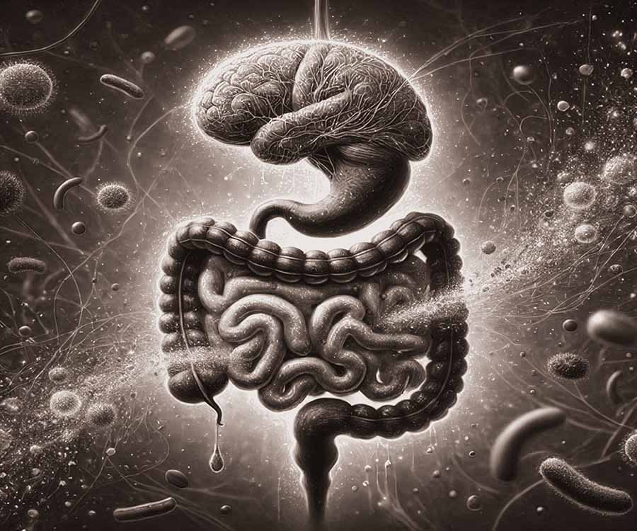 Intestino-cérebro-e-o-nosso-microbioma