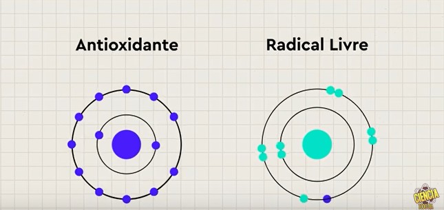 ciencia-todo-dia-radical-livre-antioxidante