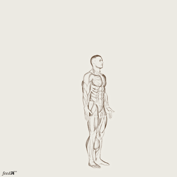 Animação realista de burpee modificado: em pé, agacha com as mãos no chão, estende as pernas à prancha, retorna ao agachamento e salta; destaque para peitorais, core, quadríceps e glúteos.