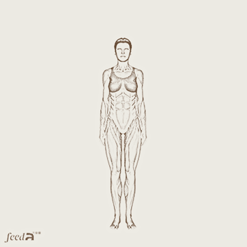 Ilustração realista de mulher executando polichinelo, com músculos das pernas, glúteos, ombros e abdômen destacados em vermelho.