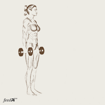 Animação realista de afundo (lunge): figura de corpo inteiro dando um passo à frente, joelho dianteiro dobrado a 90 graus e joelho traseiro próximo ao chão, mantendo tronco ereto e braços alinhados ao corpo, fortalecendo pernas e glúteos.