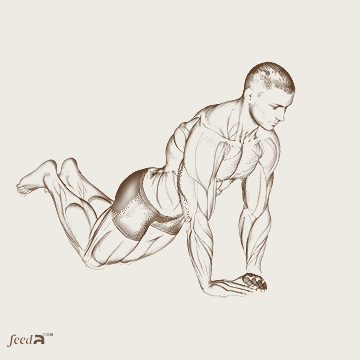 Ilustração realista de homem realizando flexão de braços com joelhos apoiados, com destaque para peitorais, tríceps e ombros.