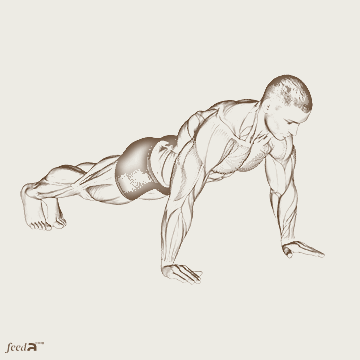 Ilustração realista de homem executando flexão de braços no solo, evidenciando peitorais, tríceps e ombros.