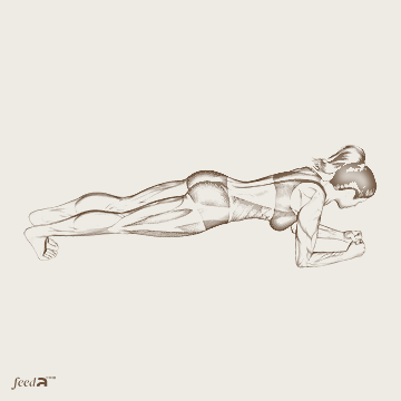 Ilustração realista de mulher mantendo prancha apoiada nos antebraços, com ênfase em abdômen, glúteos e ombros.